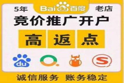 揭秘百度包年竞价优势：成功案例深度解析